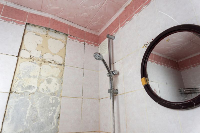 Top Shower Remodeling Companies in Norristown, PA